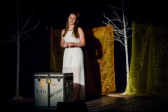 20160707TheaterAG-098-webquali 20160707TheaterAG-098-webquali