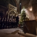 20161215-Weihnachtskonzert-048-web