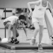 20180724-Sporttag-02-Web