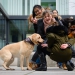 20190212-Hunde-AG-01-Web
