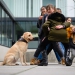 20190212-Hunde-AG-02-Web
