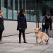 20190212-Hunde-AG-03-Web