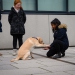 20190212-Hunde-AG-04-Web