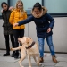 20190212-Hunde-AG-05-Web