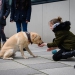 20190212-Hunde-AG-09-Web