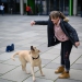 20190212-Hunde-AG-10-Web