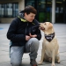 20190212-Hunde-AG-12-Web