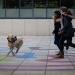 20190212-Hunde-AG-21-Web