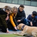 20190212-Hunde-AG-27-Web