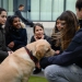 20190212-Hunde-AG-29-Web
