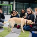 20190212-Hunde-AG-35-Web