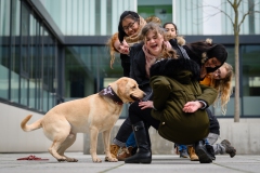 20190212-Hunde-AG-01-Web