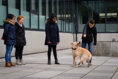 20190212-Hunde-AG-03-Web 20190212-Hunde-AG-03-Web