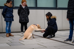 20190212-Hunde-AG-04-Web