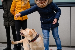 20190212-Hunde-AG-05-Web