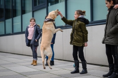 20190212-Hunde-AG-07-Web