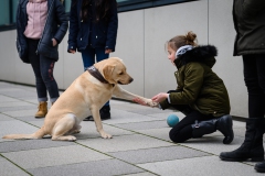 20190212-Hunde-AG-08-Web