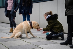 20190212-Hunde-AG-09-Web