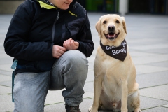 20190212-Hunde-AG-13-Web