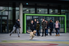 20190212-Hunde-AG-14-Web