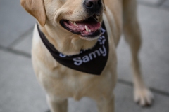 20190212-Hunde-AG-15-Web