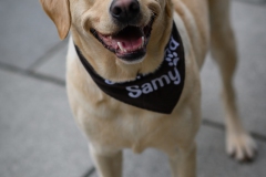 20190212-Hunde-AG-16-Web