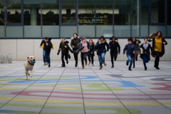 20190212-Hunde-AG-17-Web
