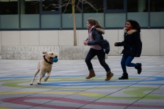 20190212-Hunde-AG-19-Web