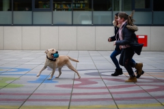 20190212-Hunde-AG-20-Web