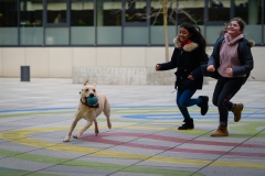 20190212-Hunde-AG-22-Web