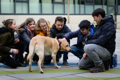 20190212-Hunde-AG-26-Web 20190212-Hunde-AG-26-Web