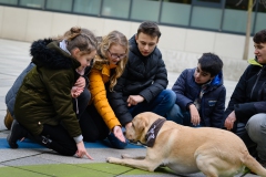 20190212-Hunde-AG-27-Web 20190212-Hunde-AG-27-Web