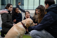 20190212-Hunde-AG-29-Web 20190212-Hunde-AG-29-Web