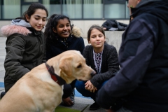 20190212-Hunde-AG-30-Web 20190212-Hunde-AG-30-Web