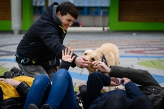 20190212-Hunde-AG-31-Web 20190212-Hunde-AG-31-Web