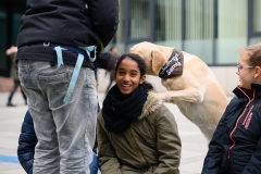 20190212-Hunde-AG-32-Web 20190212-Hunde-AG-32-Web