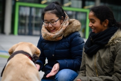 20190212-Hunde-AG-33-Web 20190212-Hunde-AG-33-Web