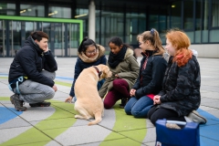 20190212-Hunde-AG-34-Web 20190212-Hunde-AG-34-Web