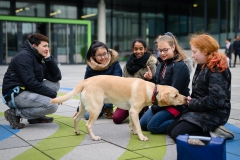 20190212-Hunde-AG-35-Web 20190212-Hunde-AG-35-Web
