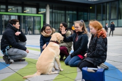 20190212-Hunde-AG-36-Web 20190212-Hunde-AG-36-Web