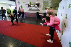 20190410-Pink-Day-02-Web