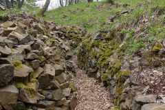 20190513-Jugendbegegnung-Elsass-14-Web