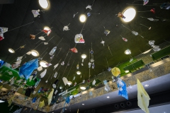 20190700-Muellaktionswoche-20-Web 20190700-Muellaktionswoche-20-Web
