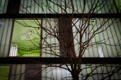 20191224-Adventsfenster-15-Web