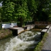 20220427-Surfen-1