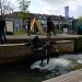 20220427-Surfen-22
