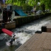 20220427-Surfen-39