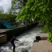 20220427-Surfen-43