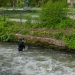 20220427-Surfen-53