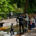 20220427-Surfen-56